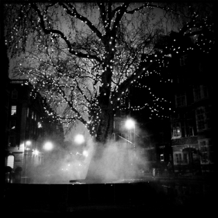  misty spring-like X-mas tree, London ©Anne Barthélemy
